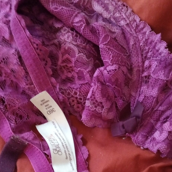 Gilly Hicks Violet Lace Bralette - Picture 1 of 10
